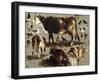 Studies of Cows, Hens, Roosters, a Goose and a Sheep-Rosa Bonheur-Framed Giclee Print