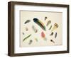 Studies of Feathers, 1855-Anne Bowen-Framed Giclee Print