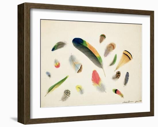 Studies of Feathers, 1855-Anne Bowen-Framed Giclee Print