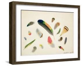 Studies of Feathers, 1855-Anne Bowen-Framed Giclee Print