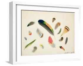 Studies of Feathers, 1855-Anne Bowen-Framed Giclee Print