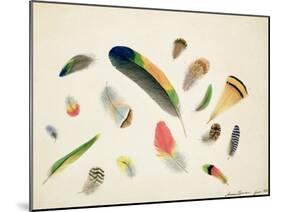 Studies of Feathers, 1855-Anne Bowen-Mounted Giclee Print