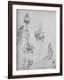 'Studies of Figures and of Decoration', c1480 (1945)-Leonardo Da Vinci-Framed Giclee Print