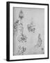 'Studies of Figures and of Decoration', c1480 (1945)-Leonardo Da Vinci-Framed Giclee Print