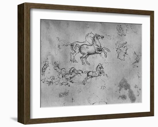 'Studies of Galloping Horses and a Head', c1480 (1945)-Leonardo Da Vinci-Framed Giclee Print