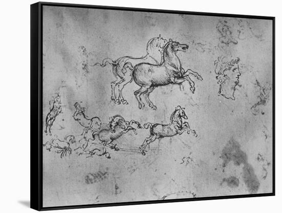 'Studies of Galloping Horses and a Head', c1480 (1945)-Leonardo Da Vinci-Framed Stretched Canvas