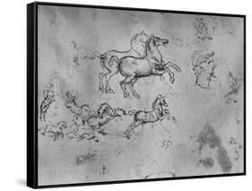 'Studies of Galloping Horses and a Head', c1480 (1945)-Leonardo Da Vinci-Framed Stretched Canvas