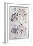 Studies of Gestures and Postures of Wrestlers, from a Manga (Colour Woodblock Print)-Katsushika Hokusai-Framed Giclee Print