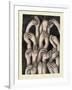 Studies of Hands 1, 1986-Evelyn Williams-Framed Giclee Print