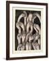 Studies of Hands 1, 1986-Evelyn Williams-Framed Giclee Print