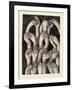 Studies of Hands 1, 1986-Evelyn Williams-Framed Giclee Print