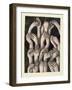 Studies of Hands 1, 1986-Evelyn Williams-Framed Giclee Print