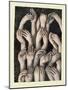 Studies of Hands 1, 1986-Evelyn Williams-Mounted Giclee Print