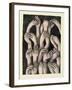 Studies of Hands 1, 1986-Evelyn Williams-Framed Giclee Print