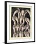 Studies of Hands 1, 1986-Evelyn Williams-Framed Giclee Print