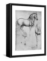 Studies of Horses, C1490-Leonardo da Vinci-Framed Stretched Canvas