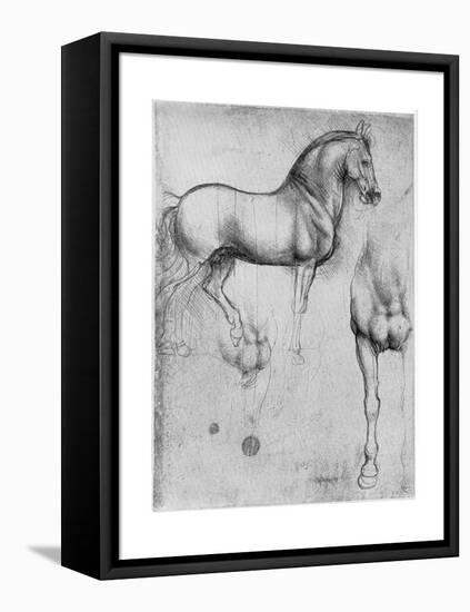 Studies of Horses, C1490-Leonardo da Vinci-Framed Stretched Canvas