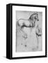 Studies of Horses, C1490-Leonardo da Vinci-Framed Stretched Canvas