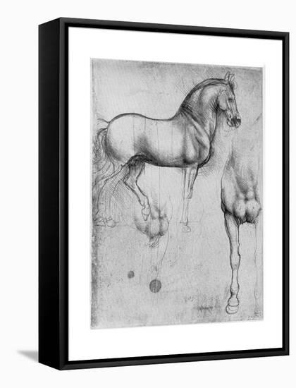 Studies of Horses, C1490-Leonardo da Vinci-Framed Stretched Canvas