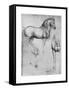 Studies of Horses, C1490-Leonardo da Vinci-Framed Stretched Canvas