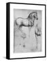Studies of Horses, C1490-Leonardo da Vinci-Framed Stretched Canvas