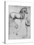 Studies of Horses, C1490-Leonardo da Vinci-Stretched Canvas