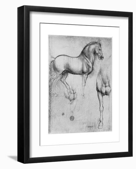 Studies of Horses, C1490-Leonardo da Vinci-Framed Giclee Print