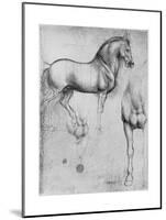 Studies of Horses, C1490-Leonardo da Vinci-Mounted Giclee Print
