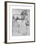 Studies of Horses, C1490-Leonardo da Vinci-Framed Giclee Print