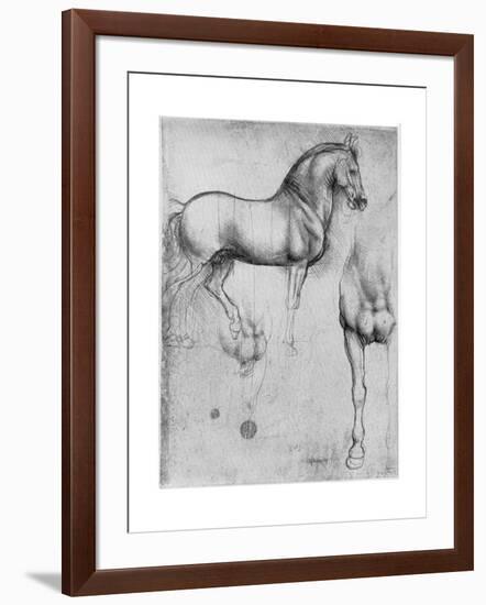 Studies of Horses, C1490-Leonardo da Vinci-Framed Giclee Print