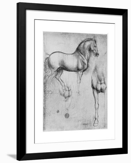 Studies of Horses, C1490-Leonardo da Vinci-Framed Giclee Print