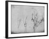 'Studies of Horses' Legs', c1480 (1945)-Leonardo Da Vinci-Framed Giclee Print