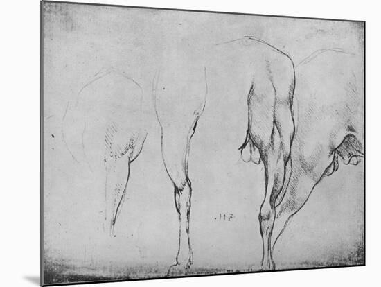 'Studies of Horses' Legs', c1480 (1945)-Leonardo Da Vinci-Mounted Giclee Print