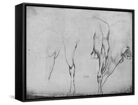 'Studies of Horses' Legs', c1480 (1945)-Leonardo Da Vinci-Framed Stretched Canvas