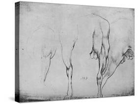 'Studies of Horses' Legs', c1480 (1945)-Leonardo Da Vinci-Stretched Canvas