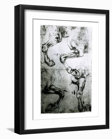 Studies of Horses legs-Leonardo da Vinci-Framed Giclee Print