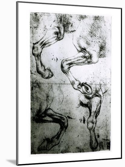 Studies of Horses legs-Leonardo da Vinci-Mounted Giclee Print