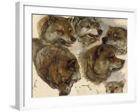 Studies of Huskies' Heads-George Bouverie Goddard-Framed Giclee Print