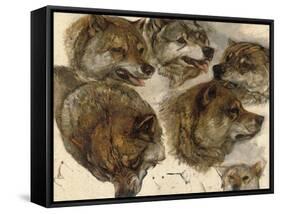 Studies of Huskies' Heads-George Bouverie Goddard-Framed Stretched Canvas