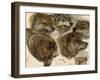 Studies of Huskies' Heads-George Bouverie Goddard-Framed Giclee Print