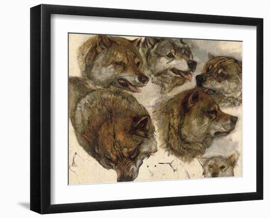 Studies of Huskies' Heads-George Bouverie Goddard-Framed Giclee Print