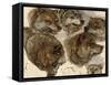 Studies of Huskies' Heads-George Bouverie Goddard-Framed Stretched Canvas