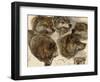 Studies of Huskies' Heads-George Bouverie Goddard-Framed Giclee Print