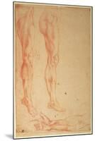 Studies of Legs and Arms (Red Chalk on Paper)-Michelangelo Buonarroti-Mounted Giclee Print