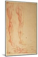 Studies of Legs and Arms (Red Chalk on Paper)-Michelangelo Buonarroti-Mounted Giclee Print