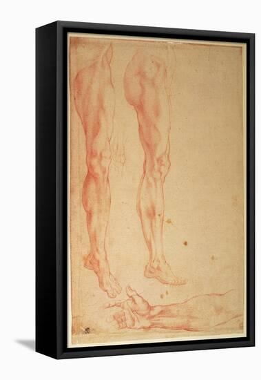 Studies of Legs and Arms (Red Chalk on Paper)-Michelangelo Buonarroti-Framed Stretched Canvas