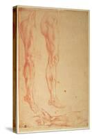 Studies of Legs and Arms (Red Chalk on Paper)-Michelangelo Buonarroti-Stretched Canvas