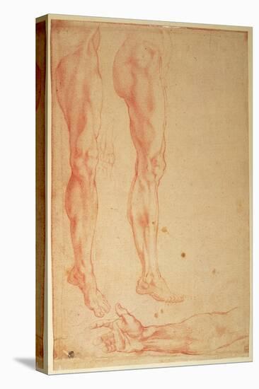 Studies of Legs and Arms (Red Chalk on Paper)-Michelangelo Buonarroti-Stretched Canvas