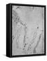 Studies of Legs, of the Bones and Tendons of a Leg, of an Arm-Leonardo Da Vinci-Framed Stretched Canvas