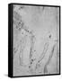 Studies of Legs, of the Bones and Tendons of a Leg, of an Arm-Leonardo Da Vinci-Framed Stretched Canvas